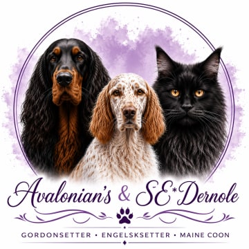 Avalonian’s &Se*Dernole