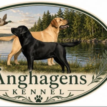 Änghagens