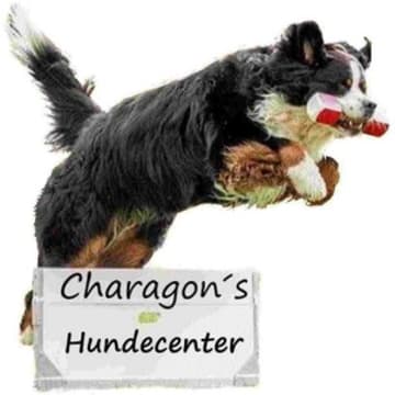 Charagon's