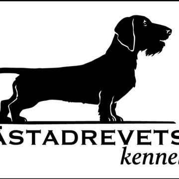 Flästadrevets