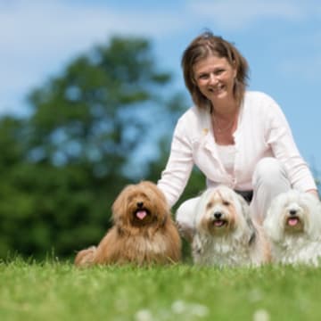 Casa Bichons