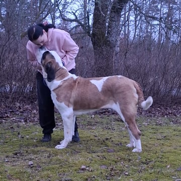 Fredsduvan's Kennel