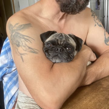 Luckypugs