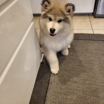 My Sweet Monster