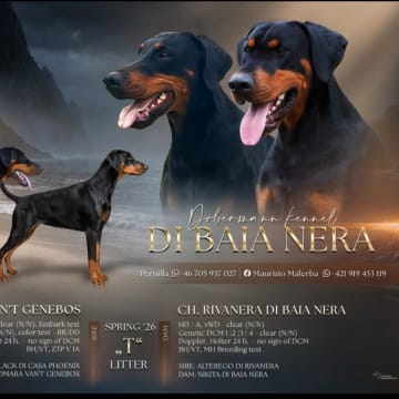 Di Baia Nera