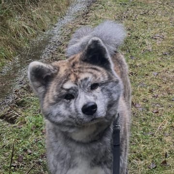Fuyuko Kensha