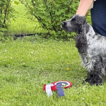 Kennel Fosliskrenten
