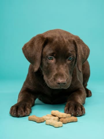 Treats