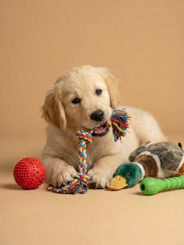 Toys