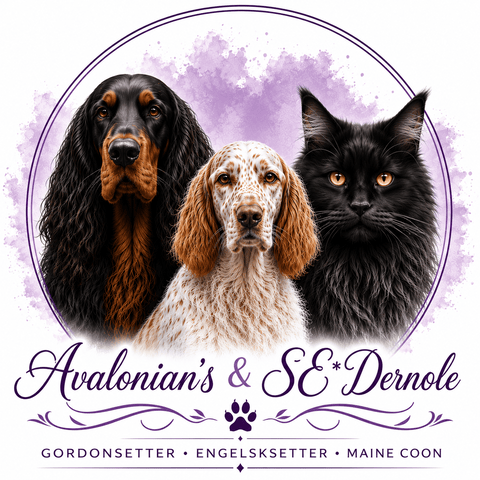 Avalonian’s &Se*Dernole