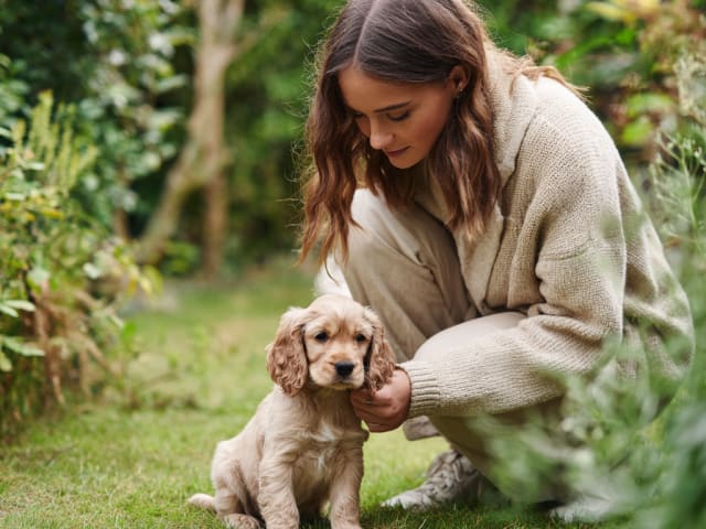 New puppy owner