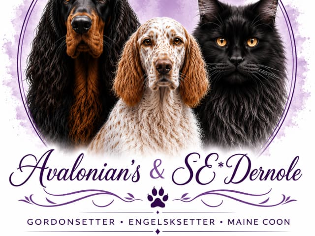 Avalonian’s &Se*Dernole
