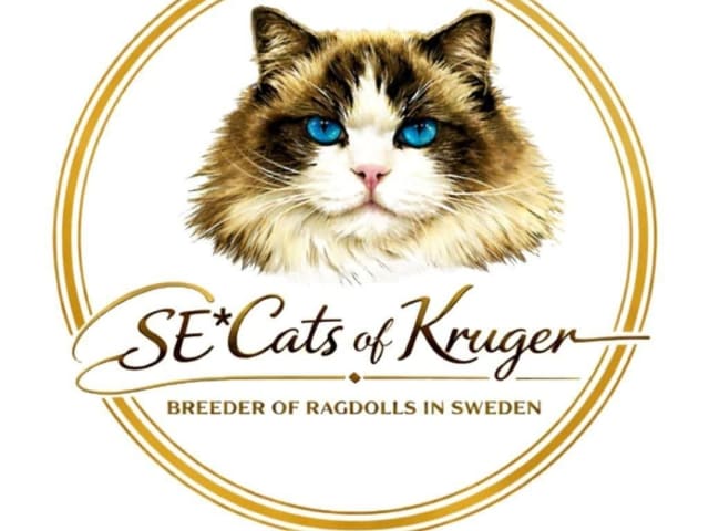 SE*Cats of Kruger
