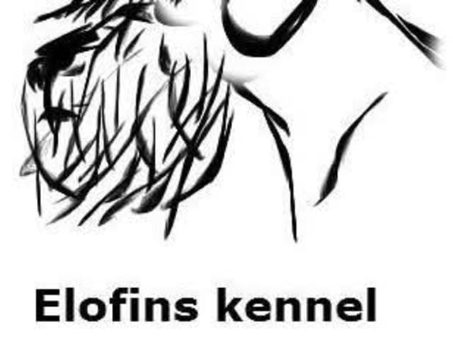 ELOFINS KENNEL