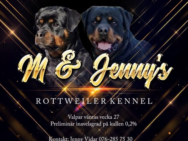 M and Jenny's