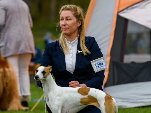 Alternova Whippet