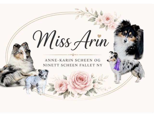 Anne-Karin Scheen