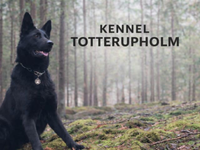 Totterupholm