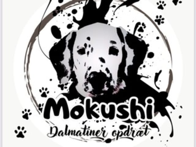 Mokushi's