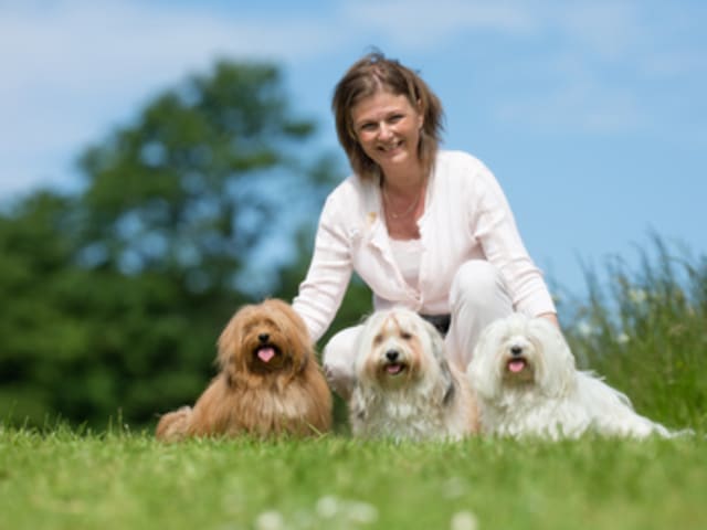 Casa Bichons