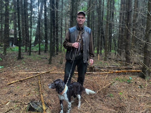 German Spaniel (Wachtelhund)