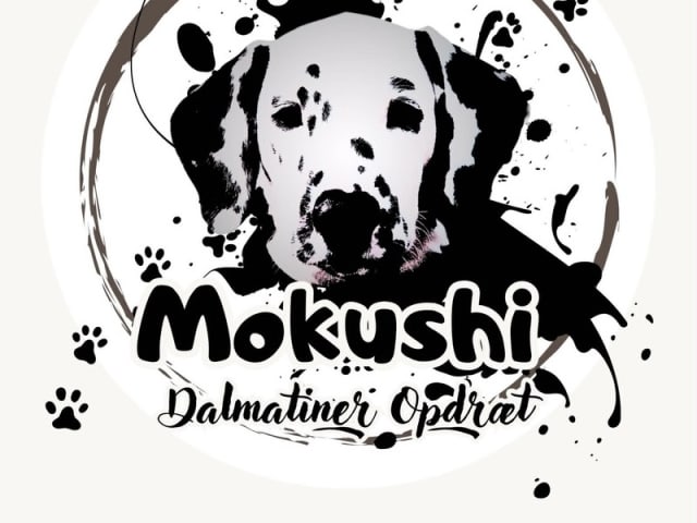 Dalmatian · Snedsted · Mokushi's