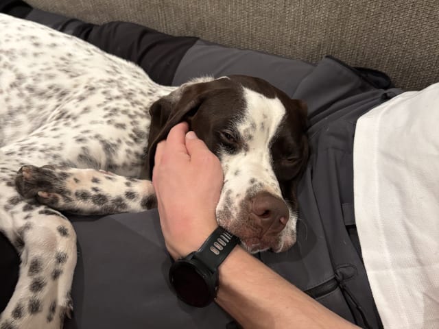 Pointer