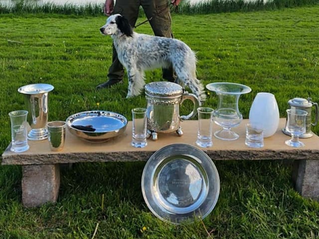 English Setter · Sulsted · Østkysten's