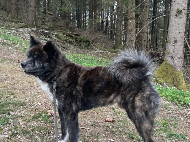 Fuyuko Kensha