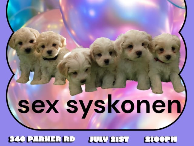 Puppy: Sex stycken