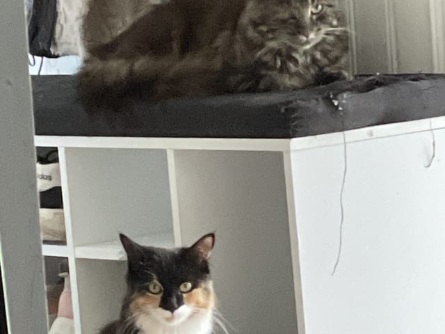 Mamma: Sally