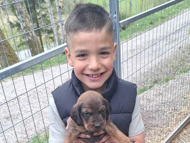 Puppy: Roki