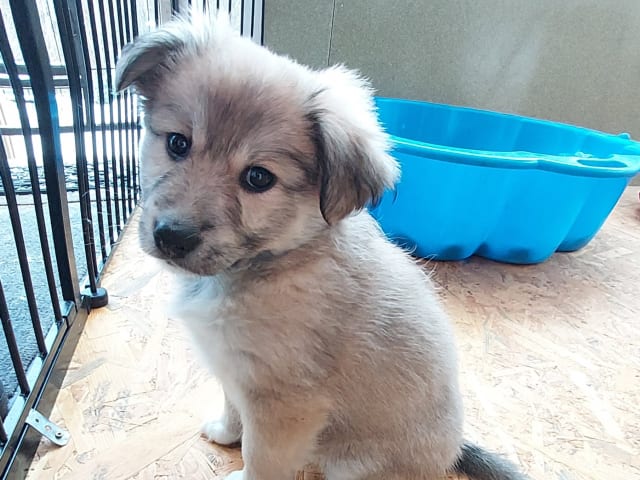 Vináttuna