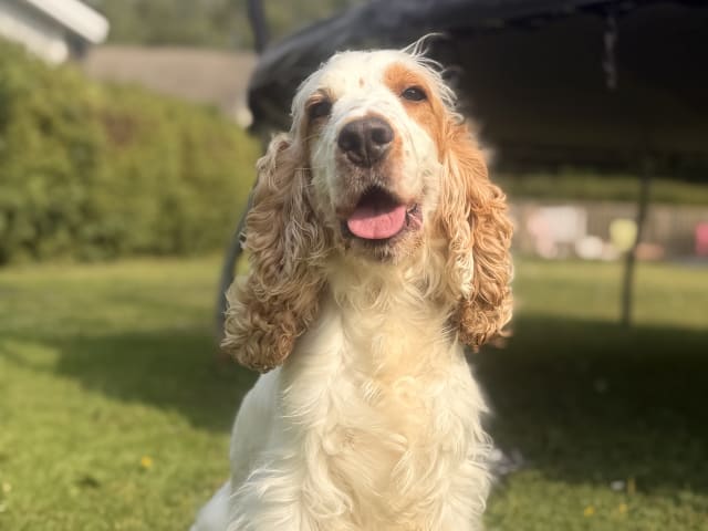 Mamma: Bella