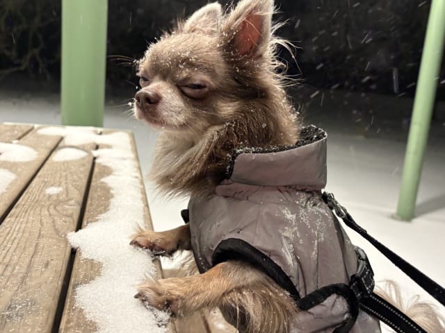 Milo