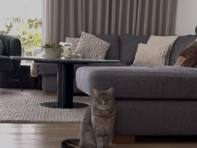 kattunge: Luna