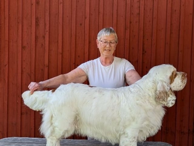 Mamma: CLUROTTS CREAM ALE
