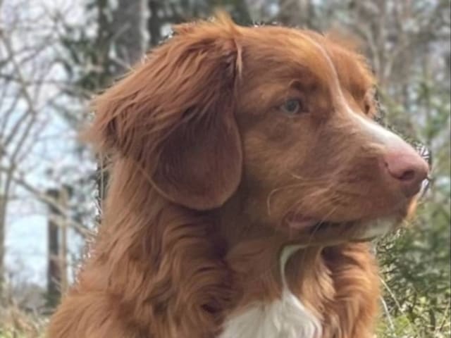 Mamma: LANZE ZÄTHAS KESSIE