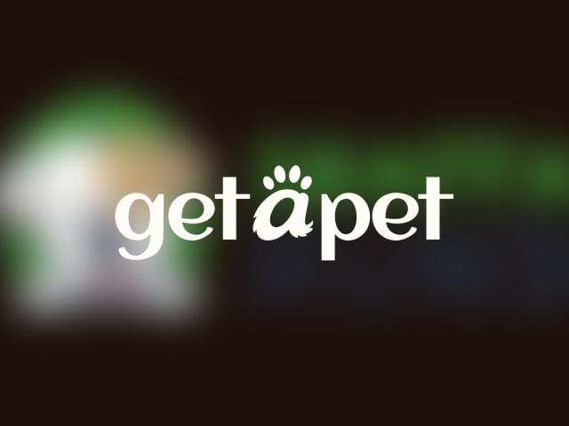 Skaffa Hund blir Get a Pet