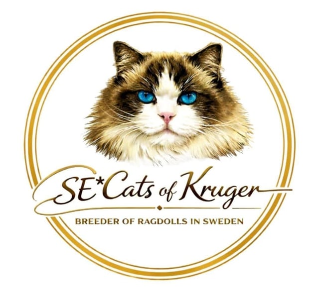 SE*Cats of Kruger