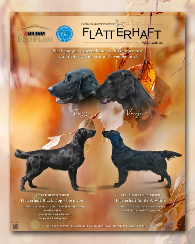 Flatterhaft
