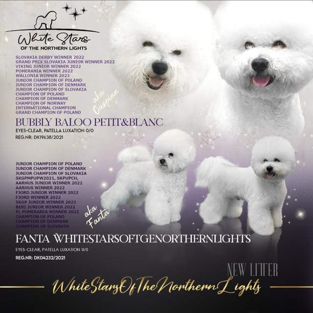 Temperament og personlighed