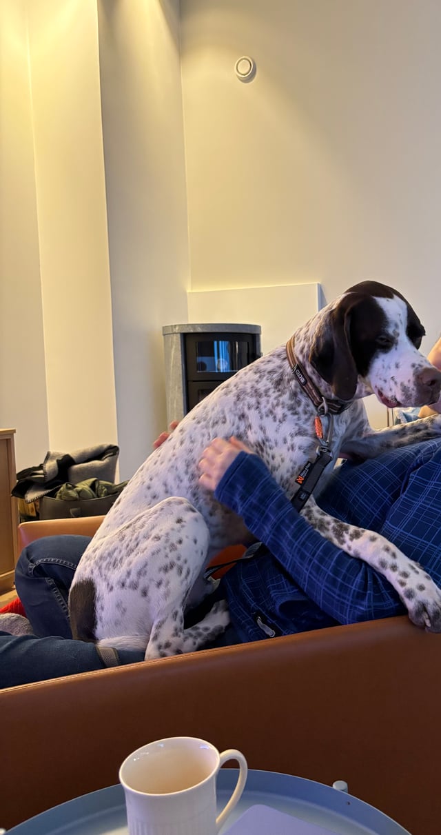 Living with the Breed