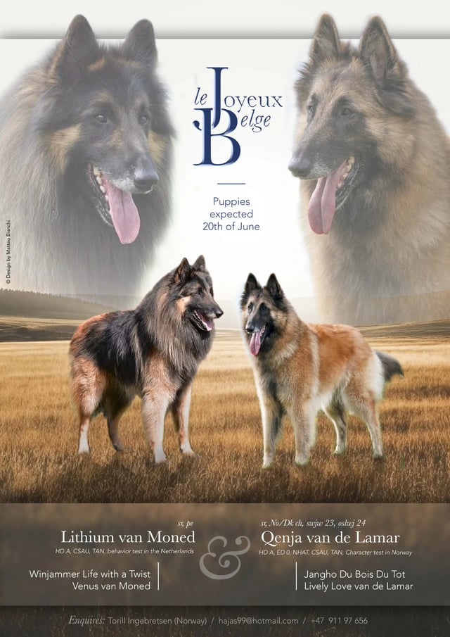 Udseende & Pels