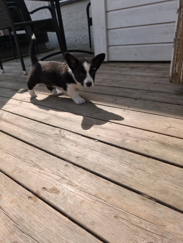 Træning og motion