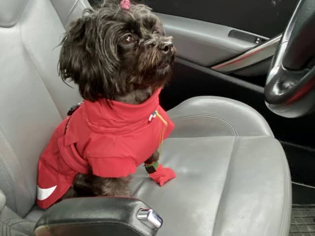 Mamma: Bella