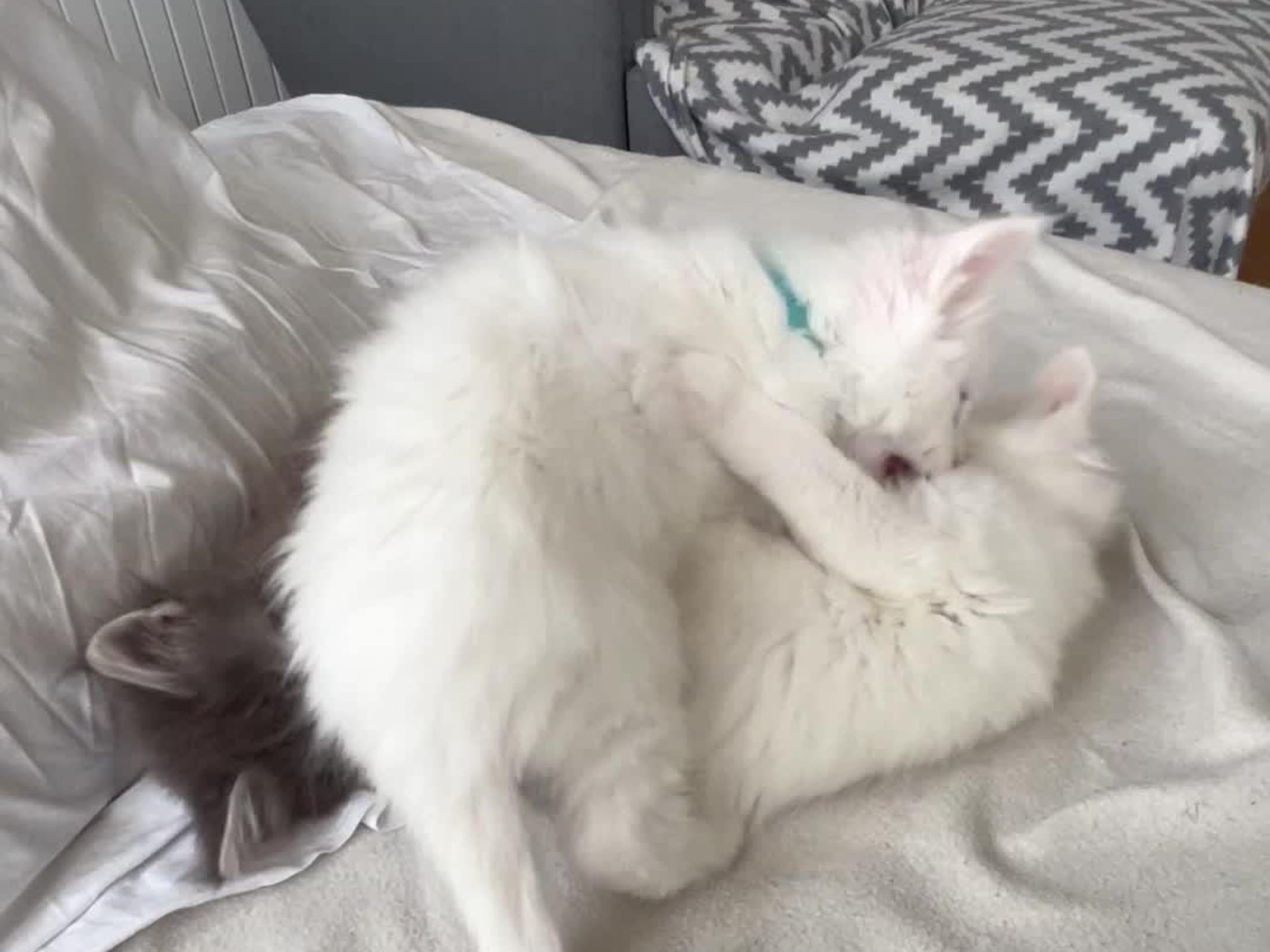 Smögen