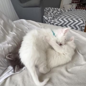 Smögen
